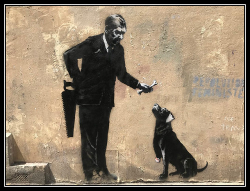 Banksy sur un mur de La Sorbonne : l’homme, cet être généreux,...