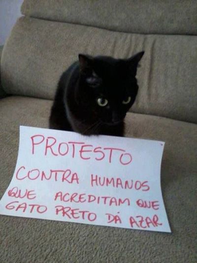 Gato Preto Tumblr