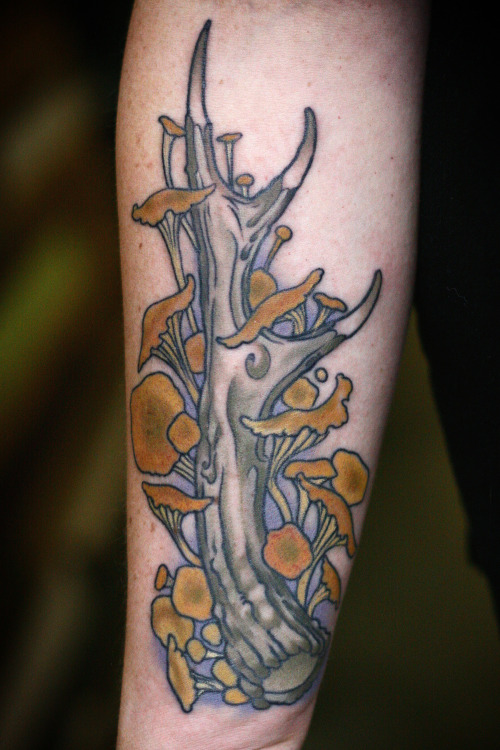 wonderlandtattoospdx:A pair of woodsy antlers by Sean Wright!