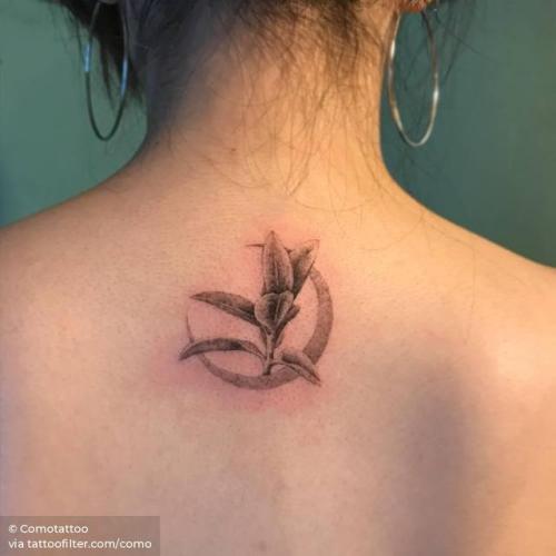 By Comotattoo, done in Seoul. http://ttoo.co/p/28526 flower;small;single needle;como;facebook;nature;upper back;twitter;rubber fig