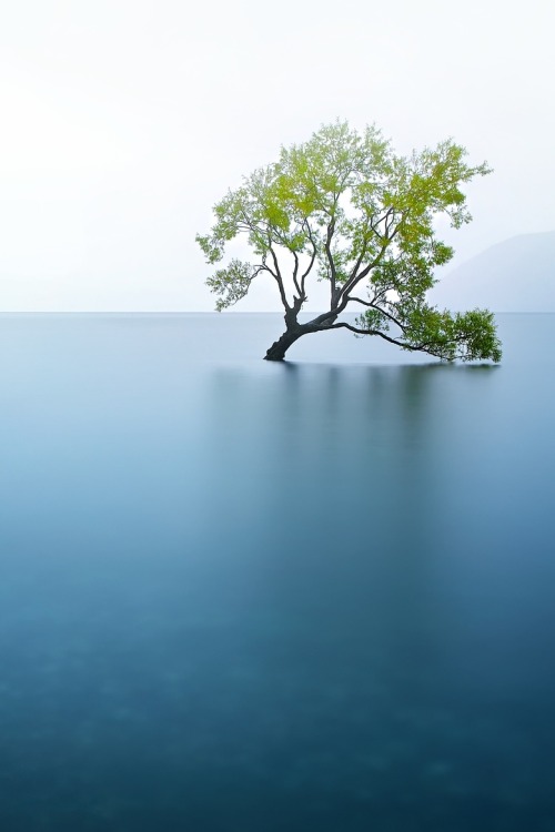 touchdisky:Lake Wanaka | New Zealand by Noval Nugraha