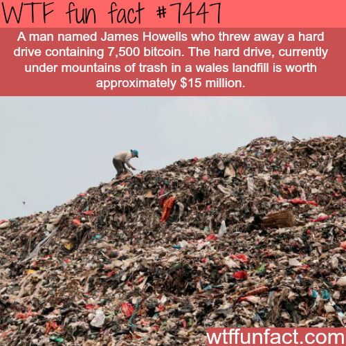 Man threw away a hard drive with thousands of...