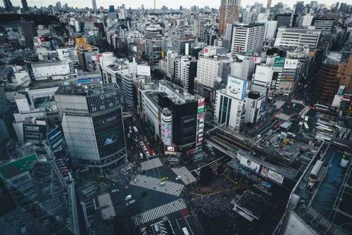 bellatorinmachina:Tokyo by bTakashi Yasui