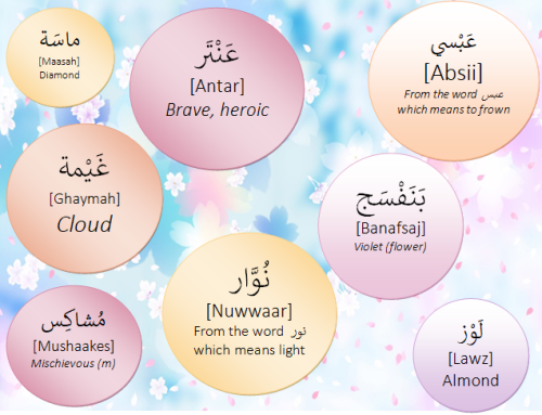 Arabic Names For Your Pets Part 1 cats Semi Hiatus Until Sept 2020