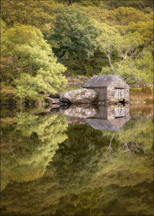 lovewales:Llyn Dinas  |  by John Davies