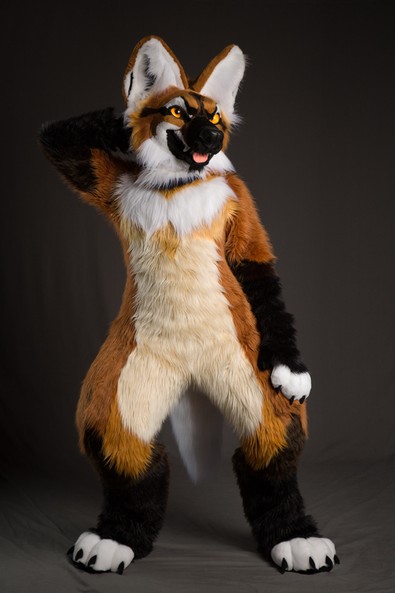 maned wolf plush