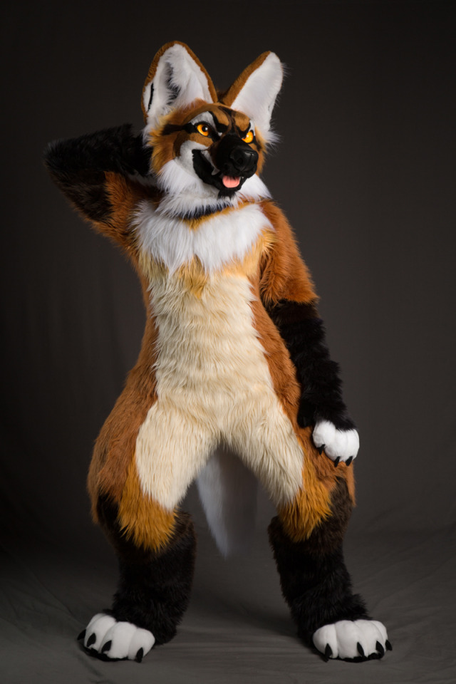 maned wolf stuffed animal