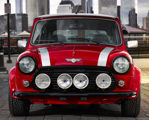 Mini Electric Tumblr