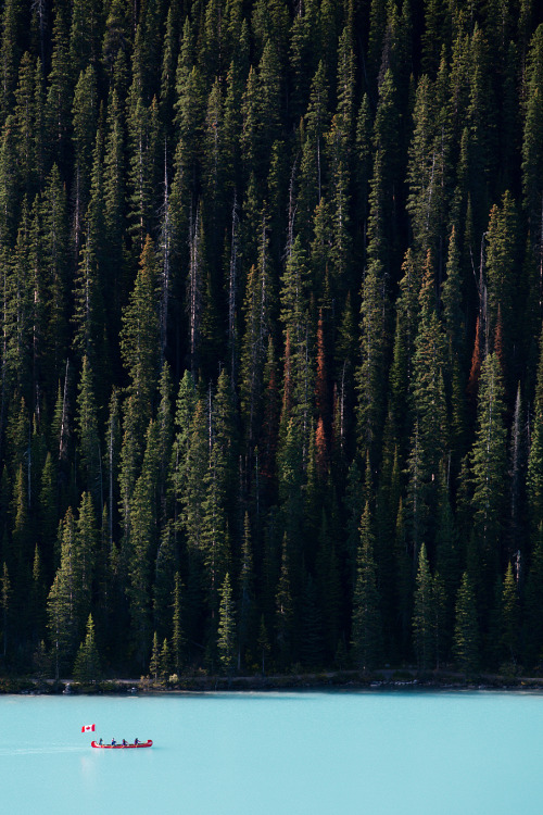 the-red-lotus-blog:madebyfinn:Lake Louise, AB