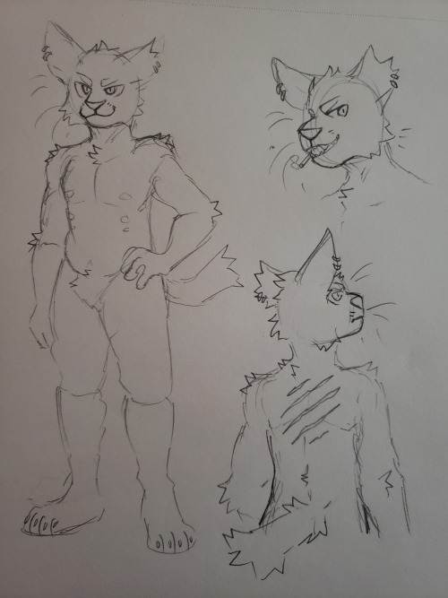 chingxdrawsthings