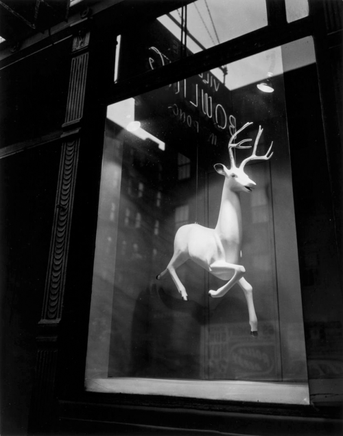 jonasgrossmann:berenice abbott… bleeker street 1948 @...