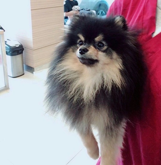 bts yeontan on Tumblr