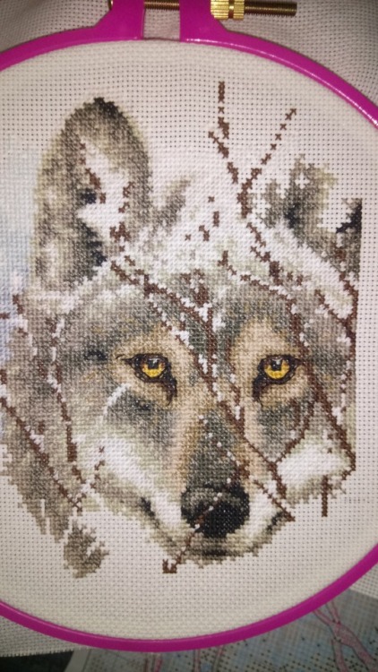 fuckyeahneedlework:shadowsonthewalls:Days 20 and 22!Whoops...