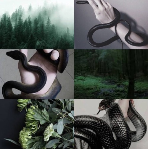 slytherbittch: