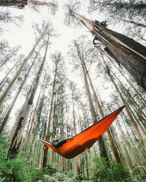 hammock on Tumblr