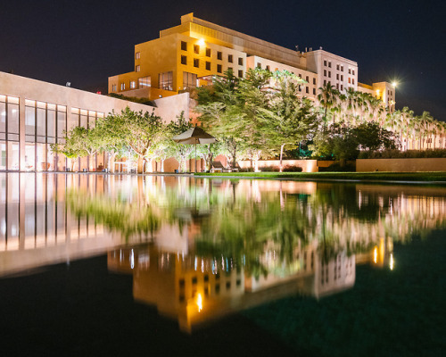 Kempinski Dead Sea Hotel