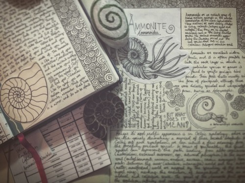 lucid-lady-fia:My ‘commonplace book’ or, as I call it, my Book...