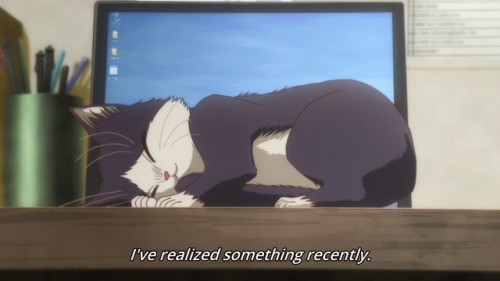 Japanese anime cat names