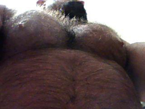 hairy chest - sexy muscle - mature men