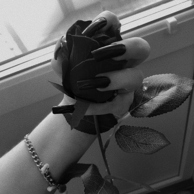 Black Rose Bracelet Tumblr