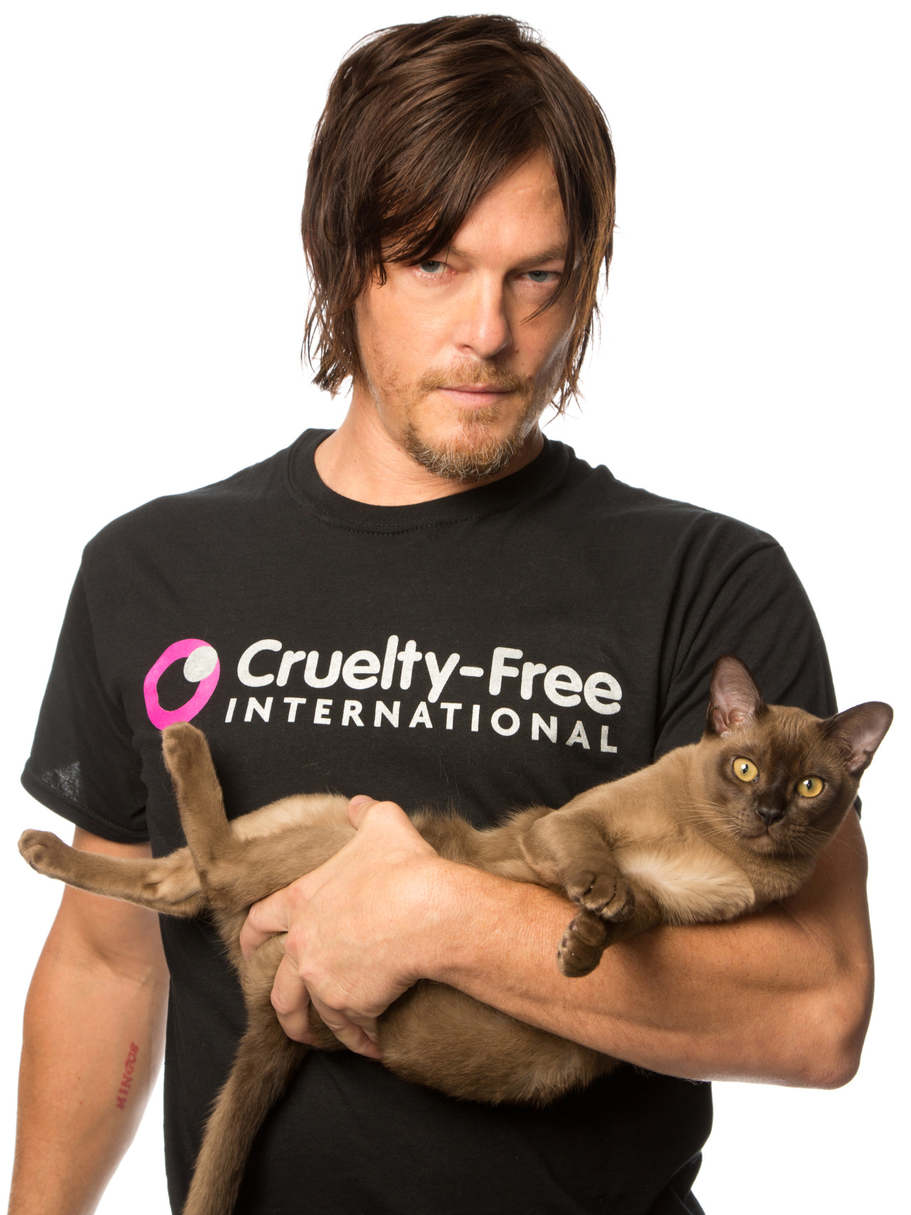 Daryl Dixon loves cats.
IT’S A SIGN. CATS WILL INHERIT THE EARTH.