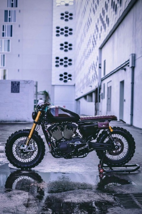 utwo:Custom HD Sportster© peter reid