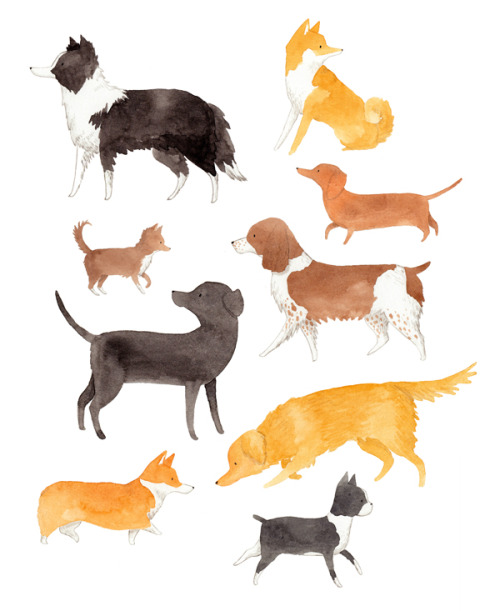 ohmycavalier:Some cats & dogs for fun &...