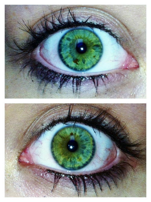 dilated pupils on Tumblr