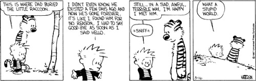 scarcerare:Some of my favorite Calvin and Hobbes strips. Bill...