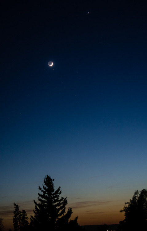 astronomyblog:Moon near Aldebaran & Venusby Peter...