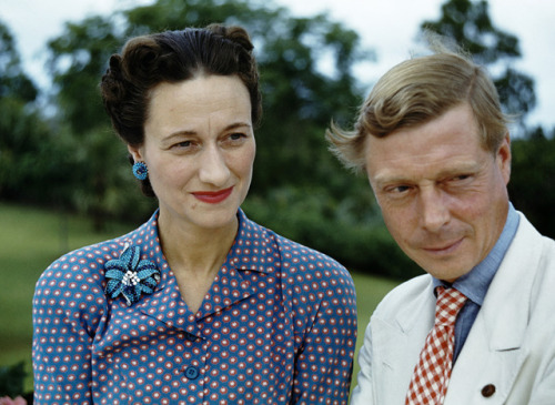 duke of windsor on Tumblr