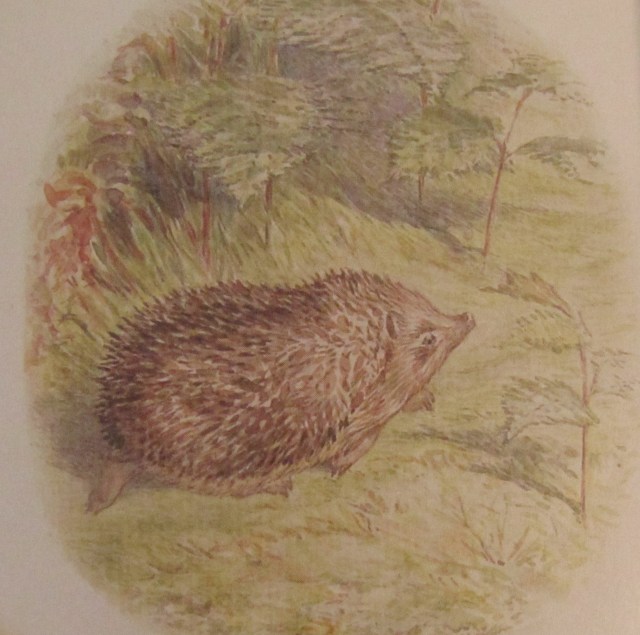 mrs tiggy winkle