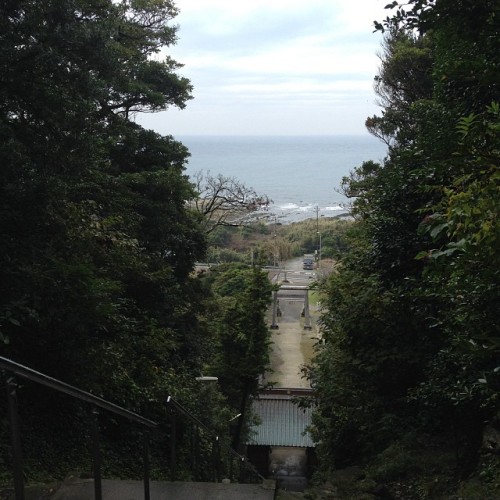 2013/11/04　安房神社、洲崎神社...