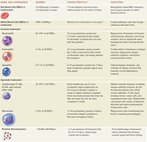 premedgoddess: Summary of formed elements in blood