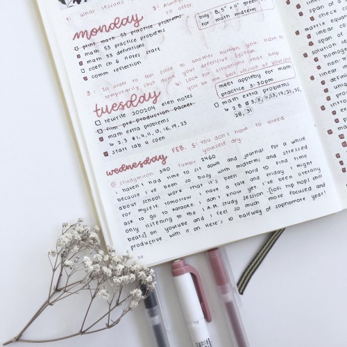 studymiroh
