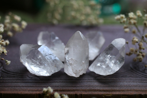 90377:Green fluorite shards, druzy amethyst, silver maple leaf...