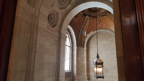 unbakedfocaccia: The New York Public Library 