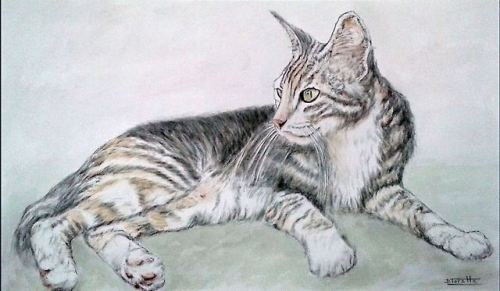 Aquarelle Chat Tumblr