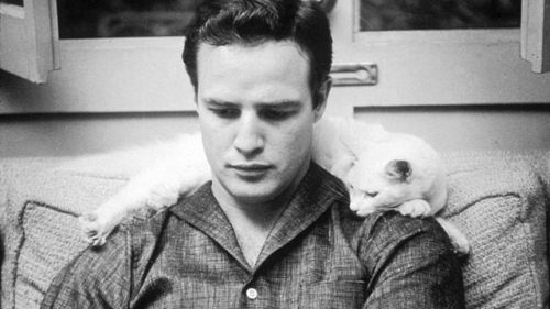 wehadfacesthen:Marlon Brando at home with his cat, 1952