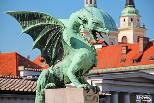 traveltoslovenia:LJUBLJANA, Slovenia - Hard to pronounce but...