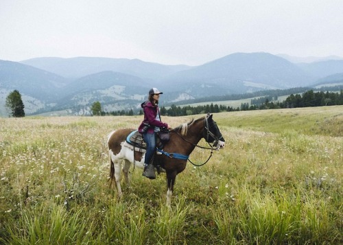 fieldandforest:SUMMER IN BIG SKYEndless mountain views,...