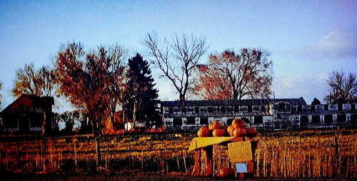 4bitdavid:A few screens from the opening sequence of Halloween...