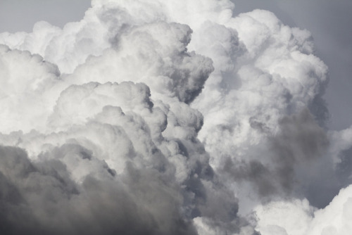 inlandwest:6 photos of a Cumulonimbus cloud over my house.