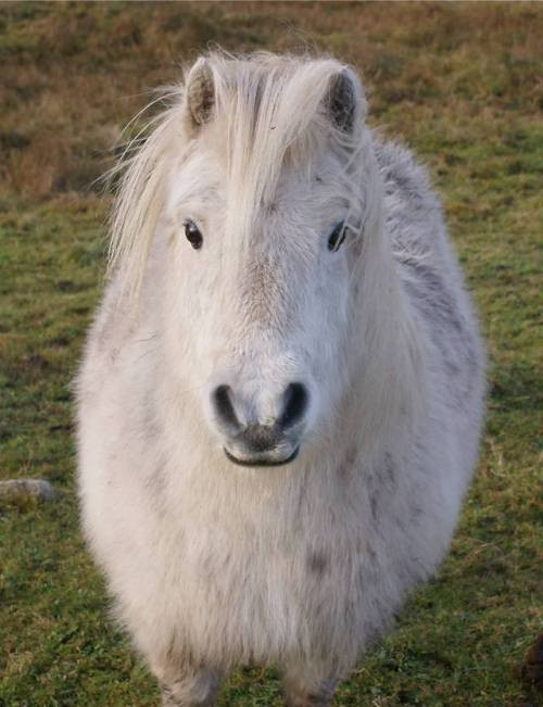 brygarth:Nadia still in her big winter coat