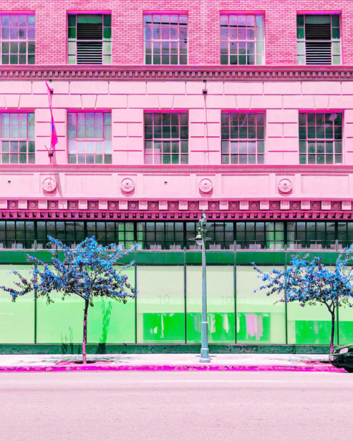 tomwindeknecht:Pink Street