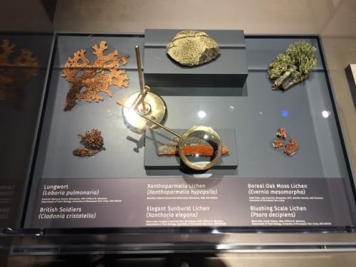 botanyshitposts:we’re at the new natural history museum at the...