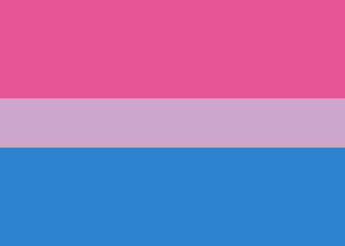 pridesthetic:Bi-Colored Trans Flags and Trans-Colored Bi Flags...