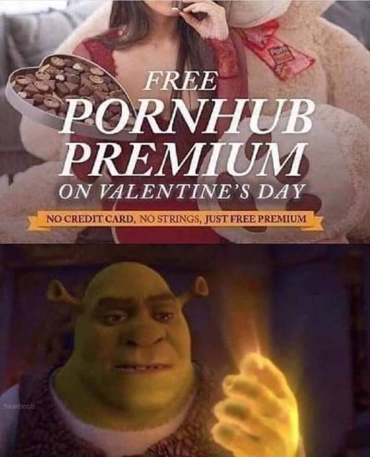 Slapping Porn Memes - shrek porn | Tumblr