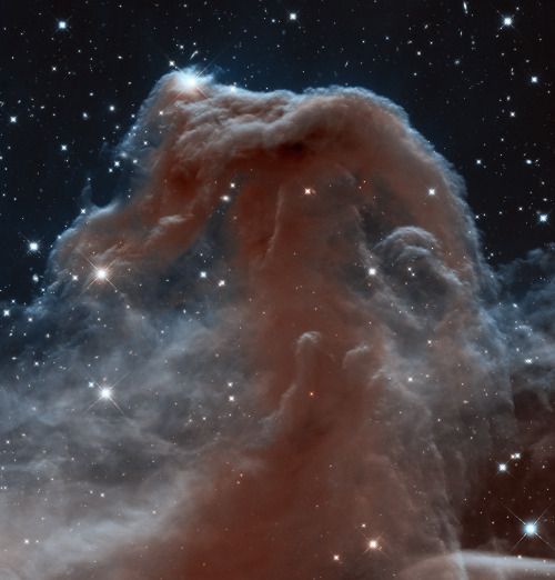 astronomyblog:Happy Birthday, Hubble!The Hubble Space...