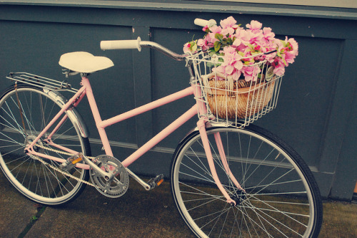 vintage bicycle on Tumblr